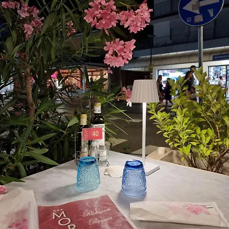 Отель Morena 3*